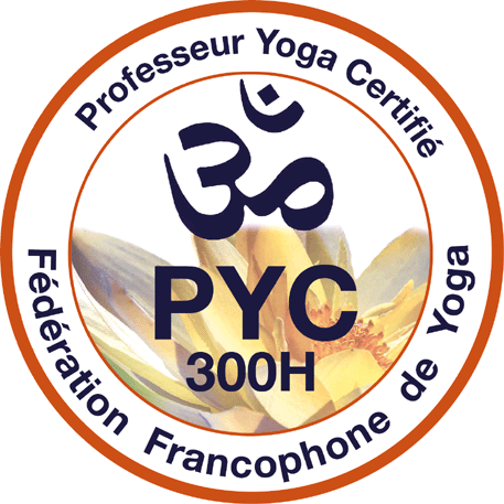 logo.PYC 300